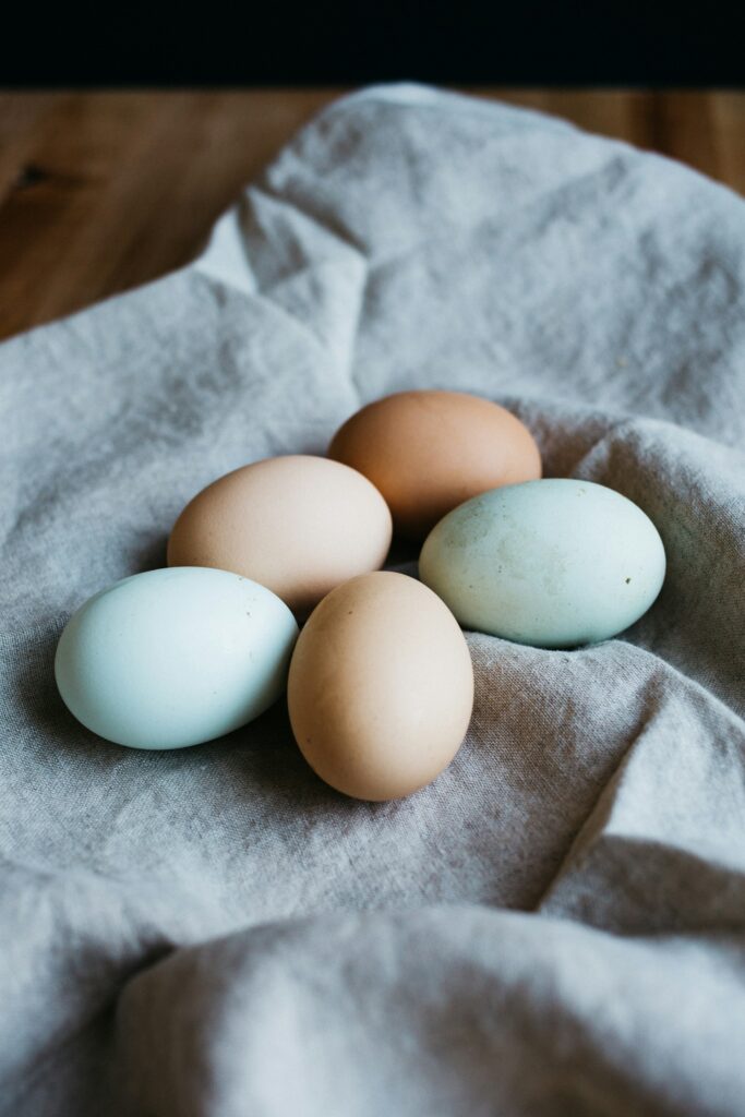 rachael-gorjestani-g8xdO1Q1kIg-unsplash